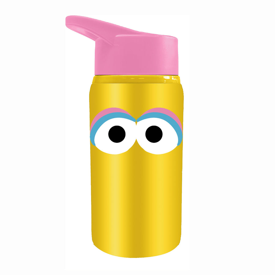Sesame Street Big Bird Stainless Steel Bottle 18 Oz